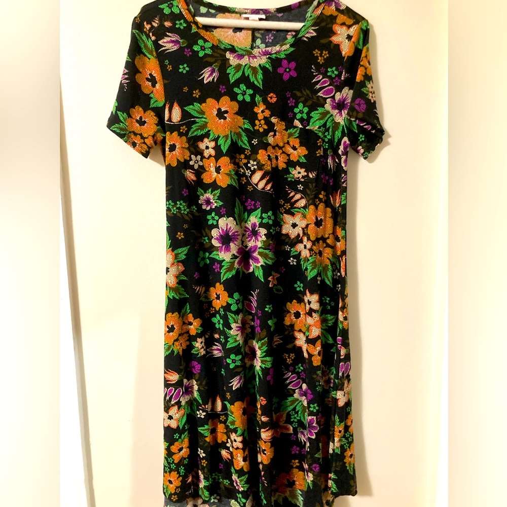 Lularoe floral pattern carly dress size xs